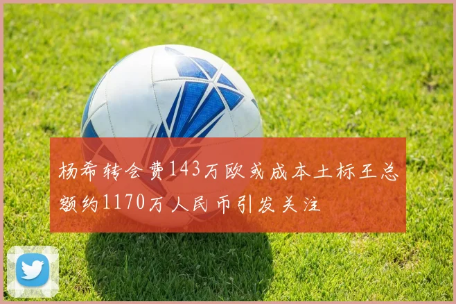 杨希转会费143万欧或成本土标王总额约1170万人民币引发关注