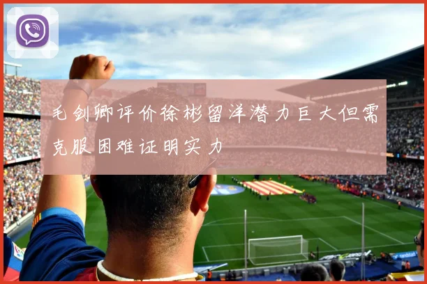 毛剑卿评价徐彬留洋潜力巨大但需克服困难证明实力