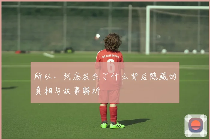 所以，到底发生了什么背后隐藏的真相与故事解析