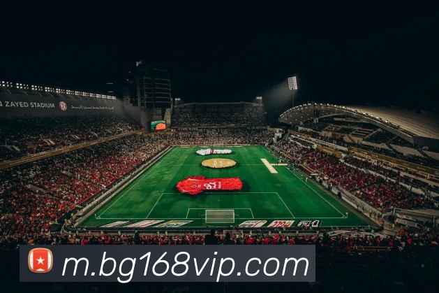 BG真人APP 封面图